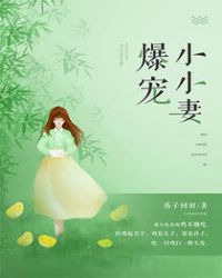 爆宠小萌妃作者