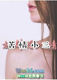 苦情小说完结免费txt